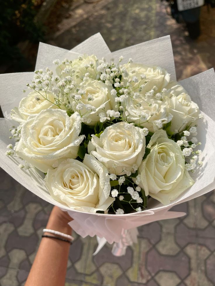 Doz Color Roses Wrap