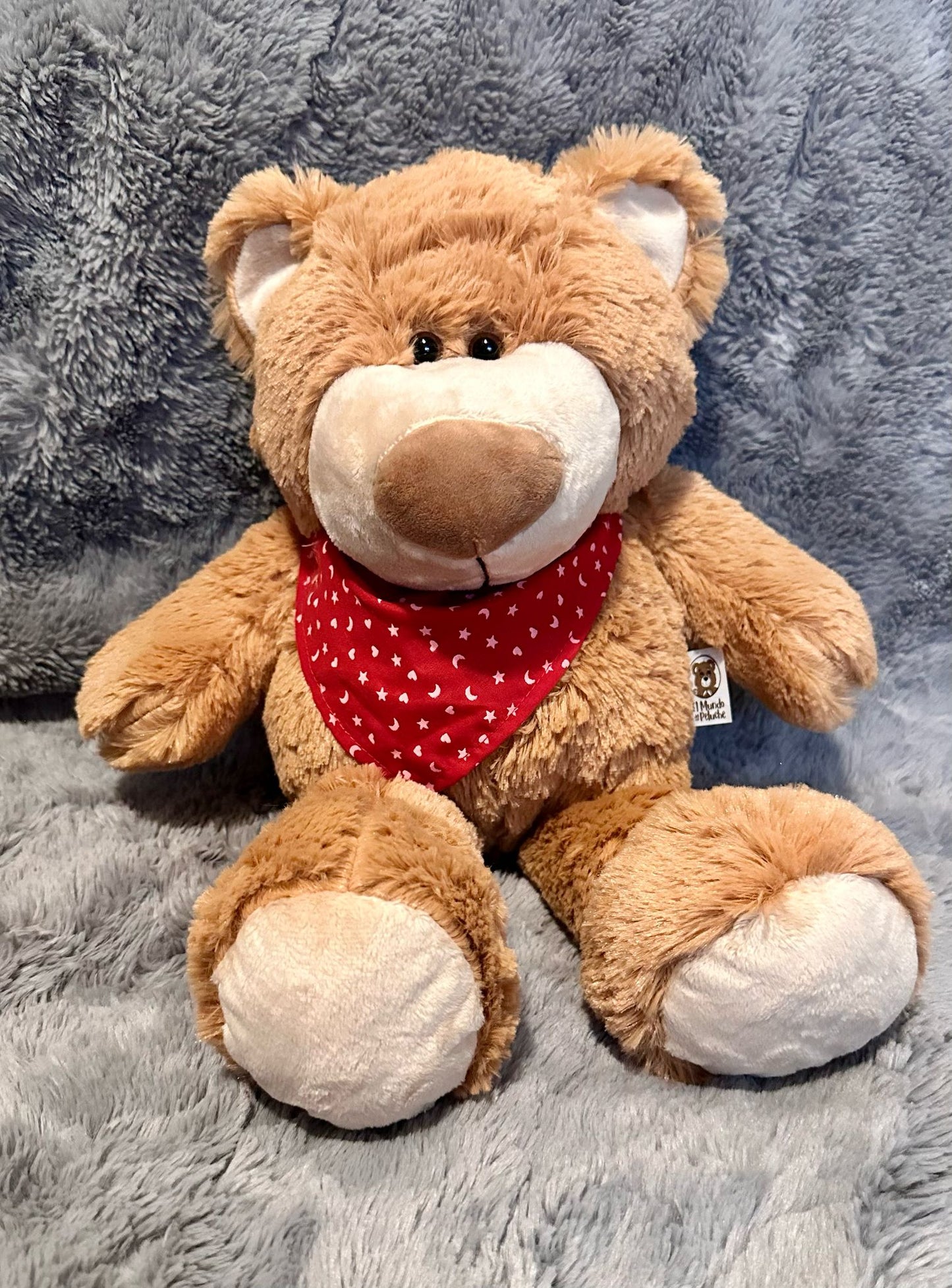 13'' Bear with a Scarf