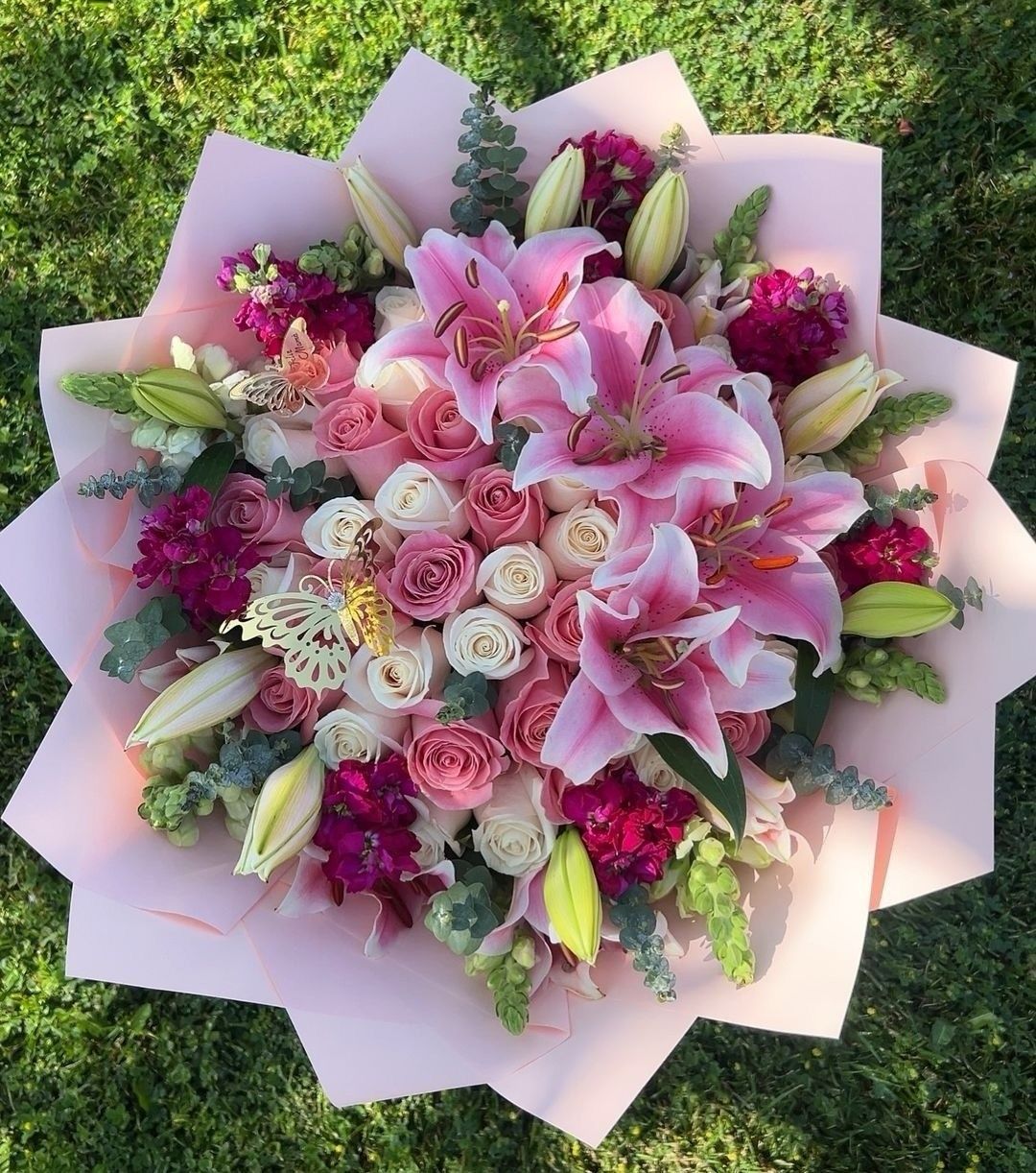 Lily & Rose Elegance