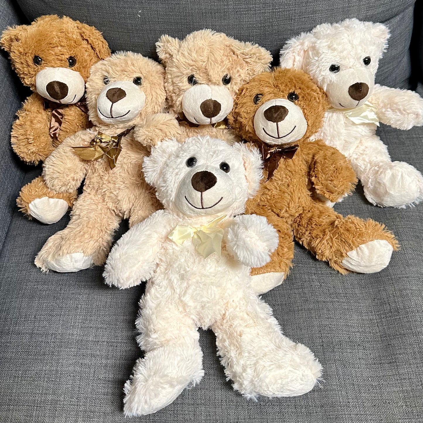 14'' Plush Teddy Bear