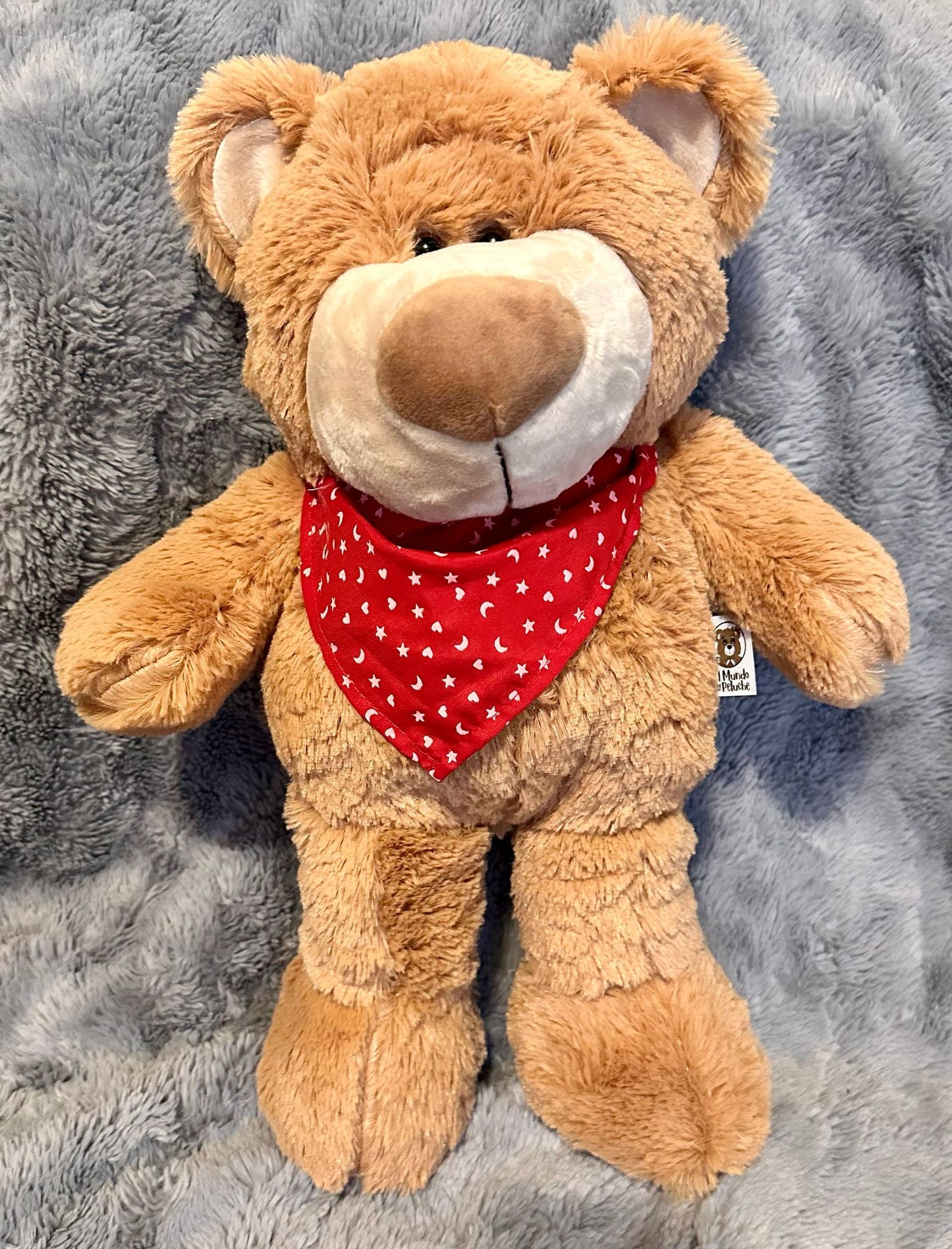 13'' Bear with a Scarf