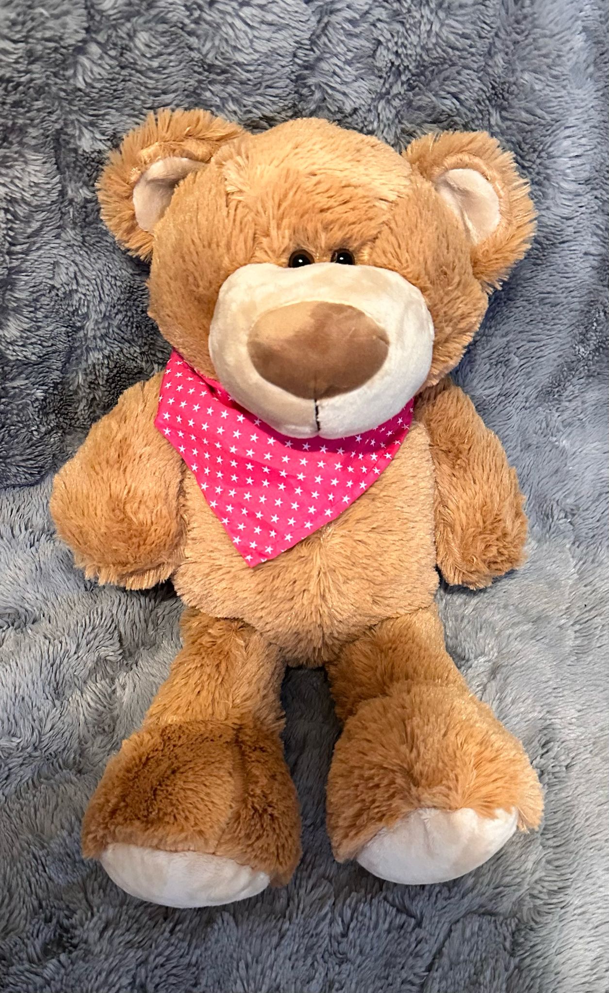 13'' Bear with a Scarf