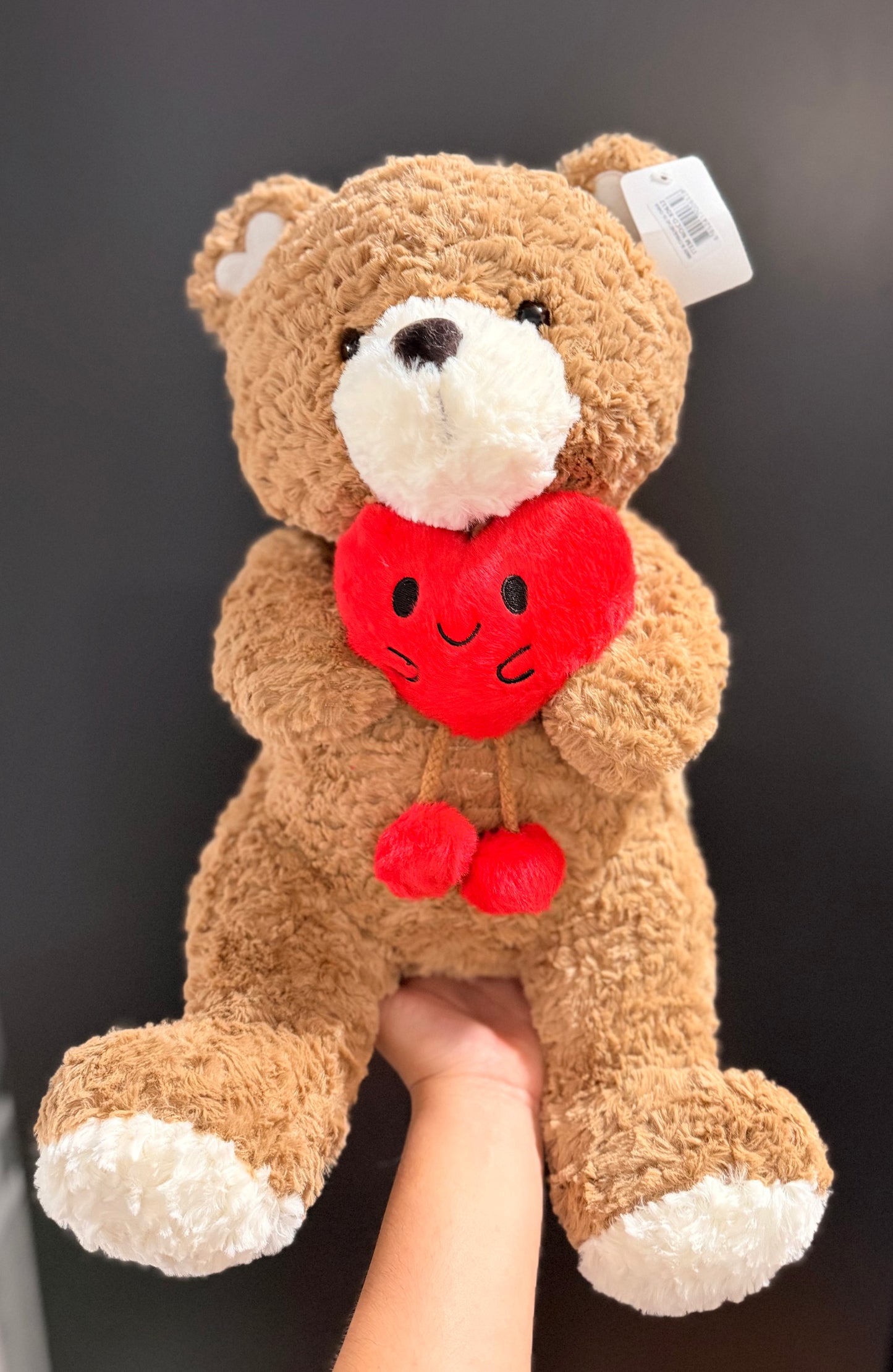 Sweet teddy bear