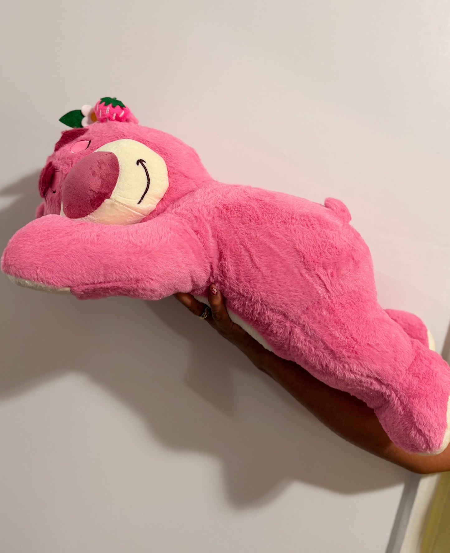Lotso Dormilon