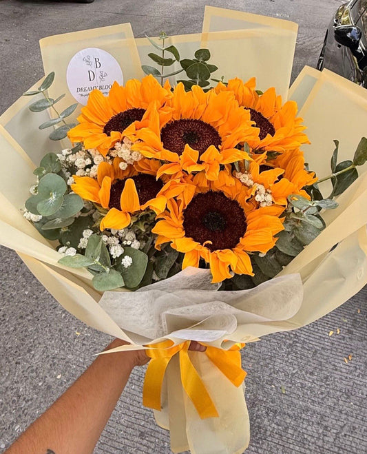 Sunshine Bloom
